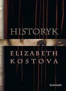 Euzabeth Kostova Historyk обложка книги