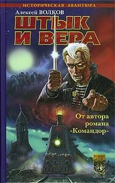 Алексей Волков Штык и вера обложка книги