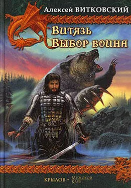 Алексей Витковский Выбор воина обложка книги