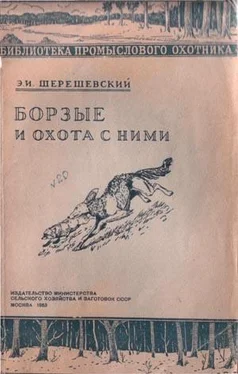 Э Шерешевский Борзые и охота с ними обложка книги