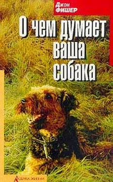 Джон Фишер О чём думает Ваша собака обложка книги