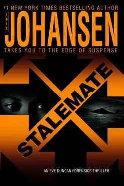 Iris Johansen Stalemate обложка книги