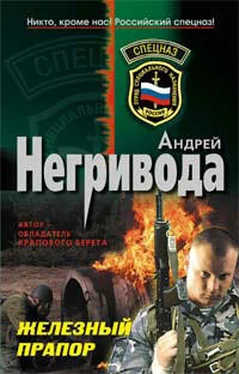 Андрей Негривода Железный прапор обложка книги