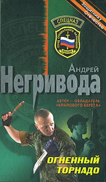 Андрей Негривода Огненный торнадо обложка книги