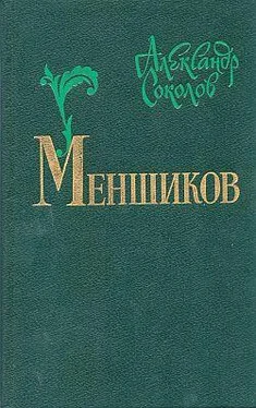 Александр Соколов Меншиков обложка книги