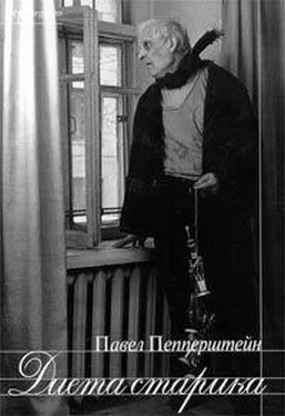 Павел Пепперштейн Диета старика обложка книги
