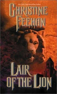 Christine Feehan La Guarida Del León обложка книги