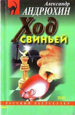 Александр Андрюхин Ход свиньей обложка книги