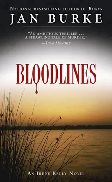 Jan Burke Bloodlines обложка книги