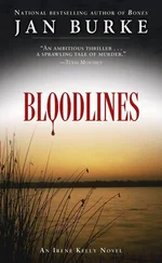 Jan Burke - Bloodlines