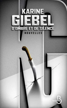 Karine Giébel D'ombre et de silence обложка книги