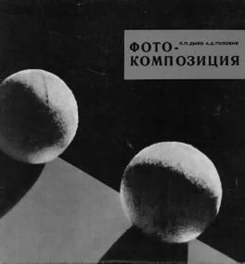 Лидия Дыко Фотокомпозиция обложка книги