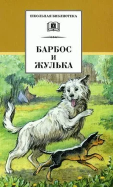 Николай Гарин-Михайловский Тёма и Жучка обложка книги