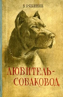 Борис Рябинин Любитель-собаковод обложка книги