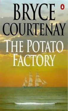 Bryce Courtenay The Potato Factory обложка книги