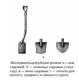 Ножии секаторыиспользуют для уборки зеленных луковичных многолетних и - фото 42