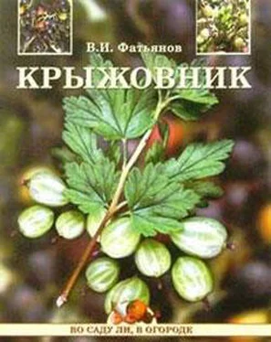 Владислав Фатьянов Крыжовник обложка книги