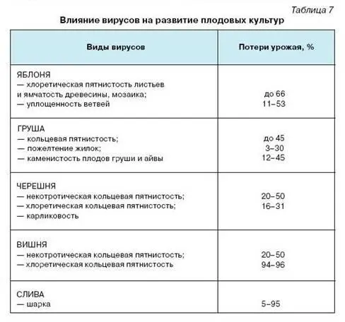 Среди них такие вирусные и микоплазменные заболевания черешни как - фото 19
