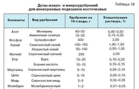 Какие опылители нужны сливе Размножение ягодных культур Барбарис - фото 42