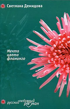 Светлана Демидова Мечта цвета фламинго обложка книги