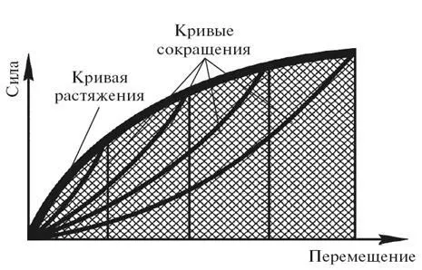График растяжениясокращения резинызаштрихованные зоны характеризуют потери - фото 15