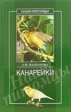 Линиза Жалпанова Канарейки обложка книги