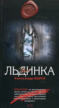 Александр Варго Льдинка обложка книги