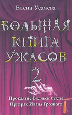 Елена Усачева Проклятие Волчьей бухты обложка книги