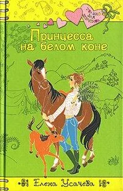 Елена Усачева Принцесса на белом коне обложка книги