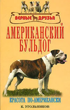 К. Угольников Американский бульдог обложка книги