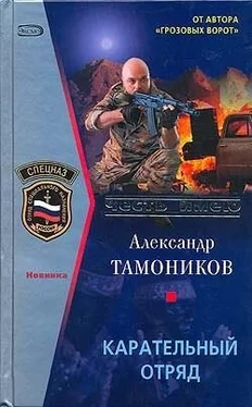 Александр Тамоников Карательный отряд обложка книги