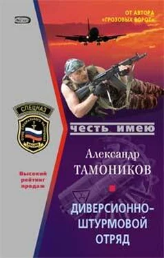 Александр Тамоников Диверсионно-штурмовой отряд обложка книги