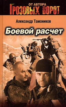 Александр Тамоников Боевой расчет обложка книги