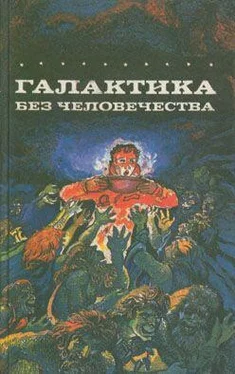 Петер Ранда Космические искатели приключений обложка книги