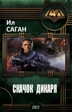 Ил Саган Скачок Дикаря (СИ) обложка книги