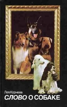 Лев Корнеев Слово о собаке обложка книги