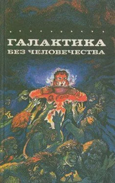 Карл Шеер Галактика без человечества обложка книги