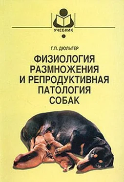 Георгий Дюльгер Физиология размножения и репродуктивная патология собак обложка книги