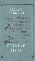 Сергей Залыгин. - Санный путь