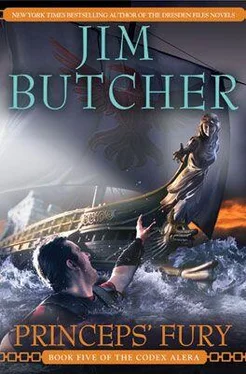 Jim Butcher Princeps’ Fury обложка книги