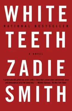 Zadie Smith White Teeth обложка книги