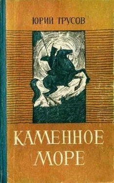 Юрий Трусов Каменное море обложка книги