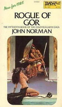 John Norman Rouge of Gor обложка книги