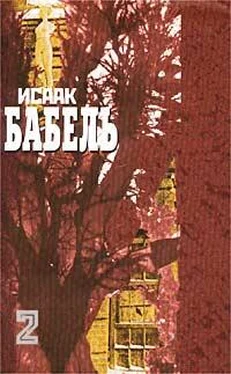 Исаак Бабель Публицистика обложка книги