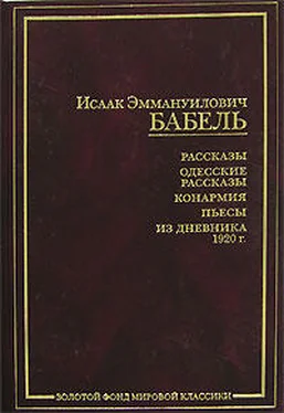 Исаак Бабель Конармейский дневник 1920 года обложка книги