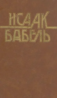 Исаак Бабель Сидоров обложка книги