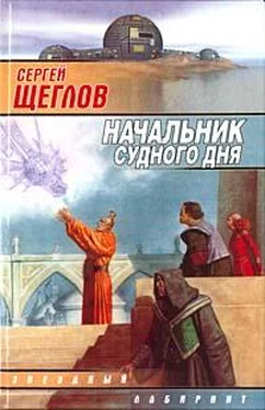 Сергей Щеглов Начальник Судного Дня обложка книги