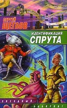 Сергей Щеглов Идентификация Спрута обложка книги