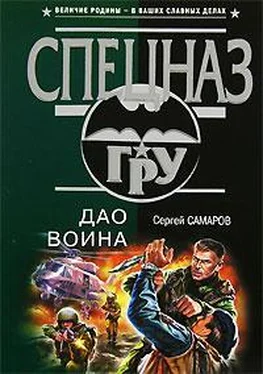 Сергей Самаров Дао воина обложка книги