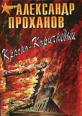 Александр Проханов Красно-коричневый обложка книги